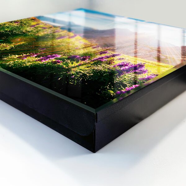 Key box Mountain idyll
