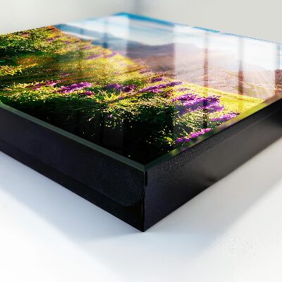 Key box Mountain idyll