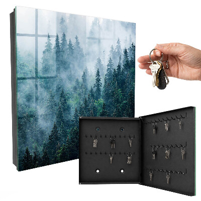 Key box Green forest