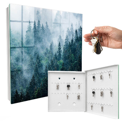 Key box Green forest