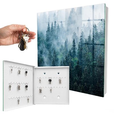Key box Green forest
