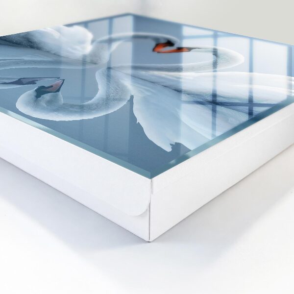 Key storage box Swan's Love