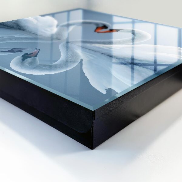 Key storage box Swan's Love