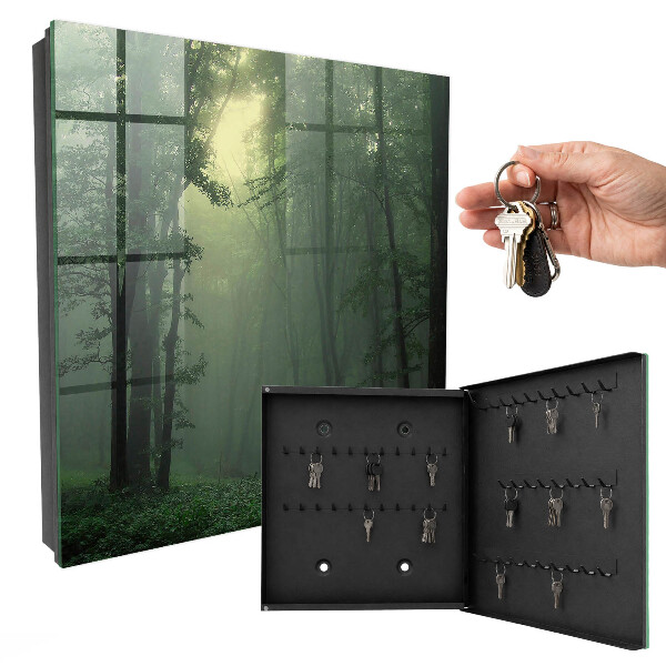 Key cabinet for wall Forest fog
