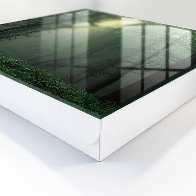 Key cabinet for wall Forest fog