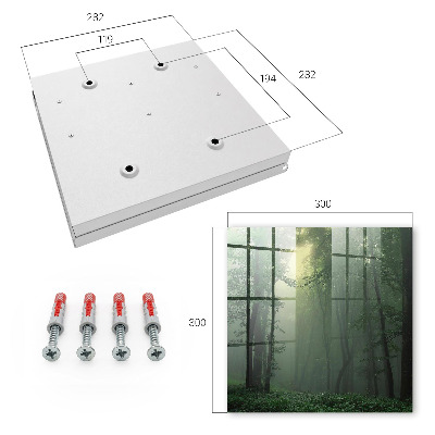 Key cabinet for wall Forest fog