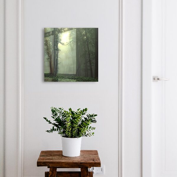 Key cabinet for wall Forest fog
