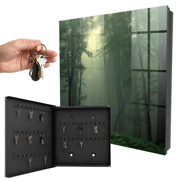 Key cabinet for wall Forest fog