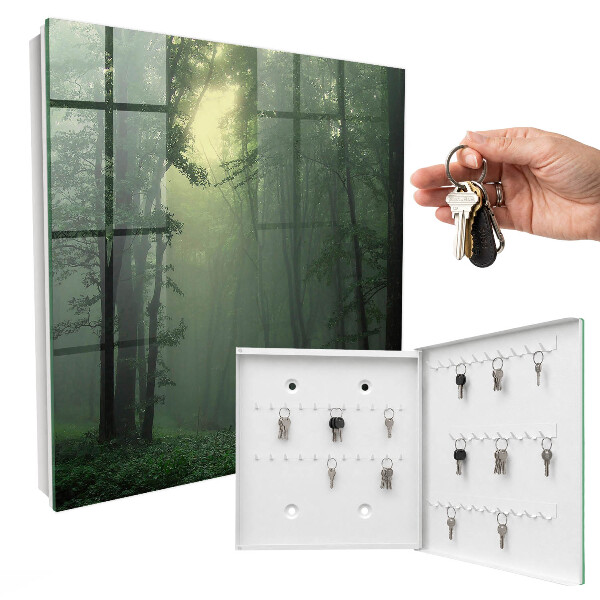 Key cabinet for wall Forest fog