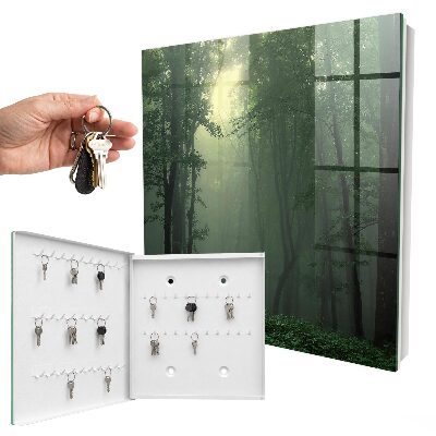 Key cabinet for wall Forest fog