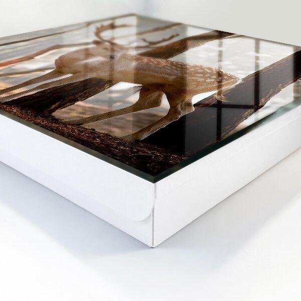 Key storage box Deer in the forest
