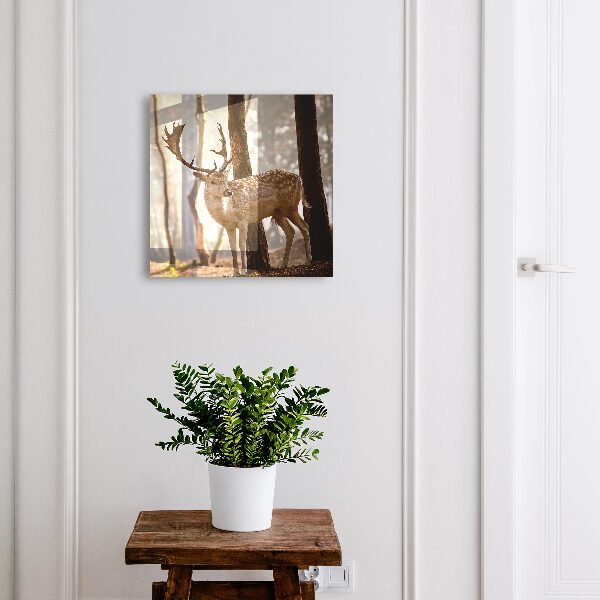 Key storage box Deer in the forest