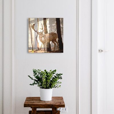 Key storage box Deer in the forest