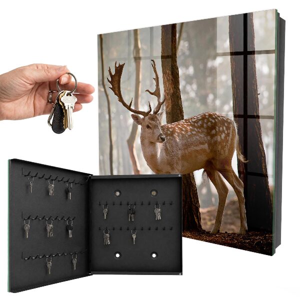 Key storage box Deer in the forest