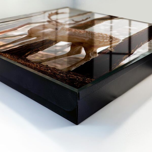 Key storage box Deer in the forest