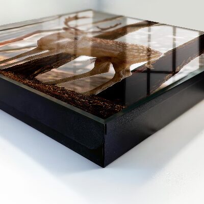 Key storage box Deer in the forest