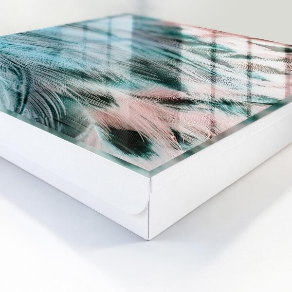 Key cabinet for wall Pastel feathers