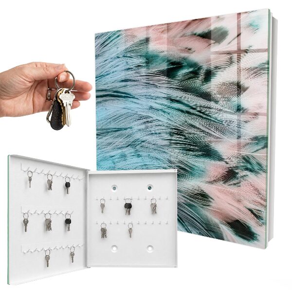 Key cabinet for wall Pastel feathers