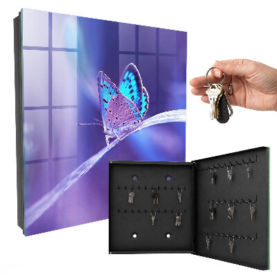 Key storage box Colorful butterfly