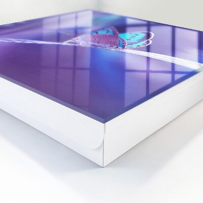 Key storage box Colorful butterfly