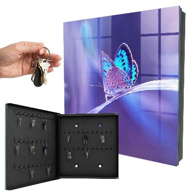 Key storage box Colorful butterfly
