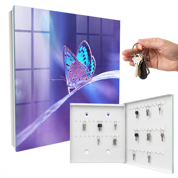 Key storage box Colorful butterfly