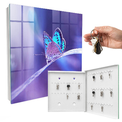 Key storage box Colorful butterfly