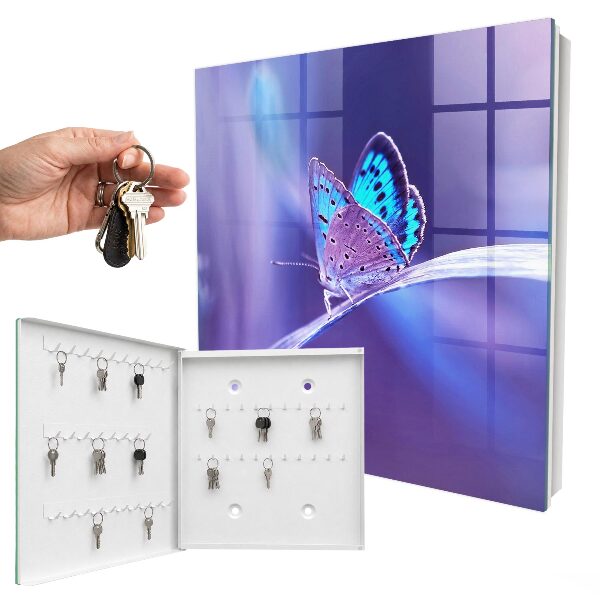 Key storage box Colorful butterfly