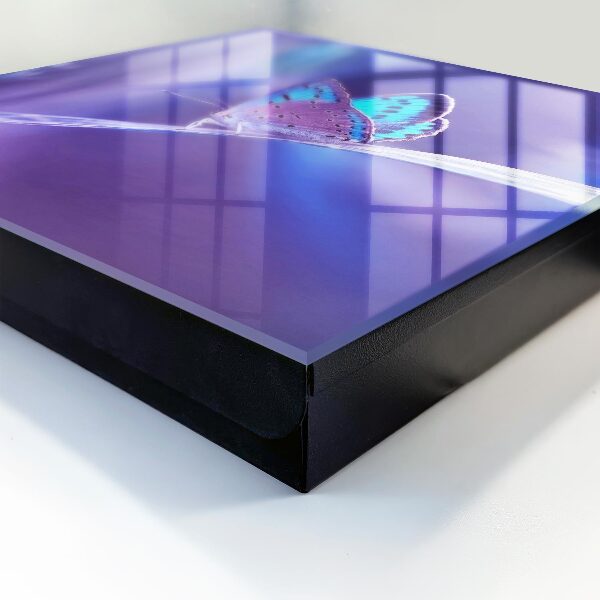 Key storage box Colorful butterfly