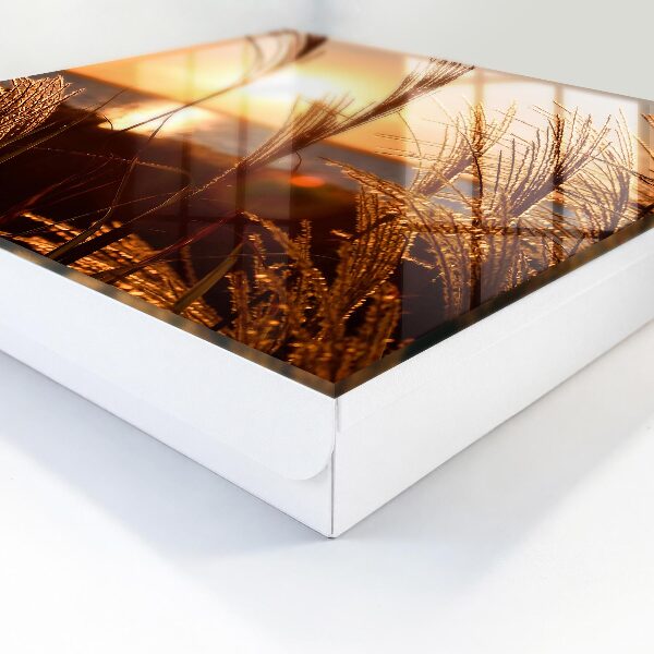 Key cabinet for wall Sunset