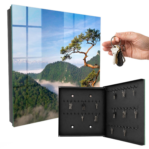 Key cabinet for wall Mountain landscape