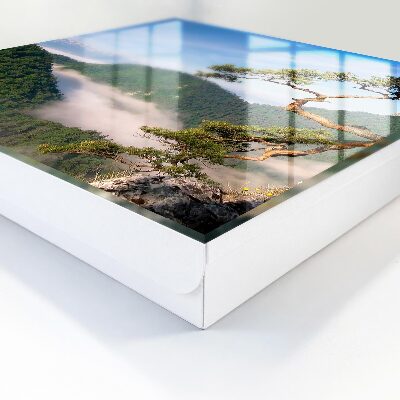 Key cabinet for wall Mountain landscape
