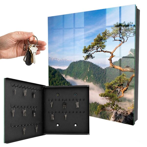 Key cabinet for wall Mountain landscape