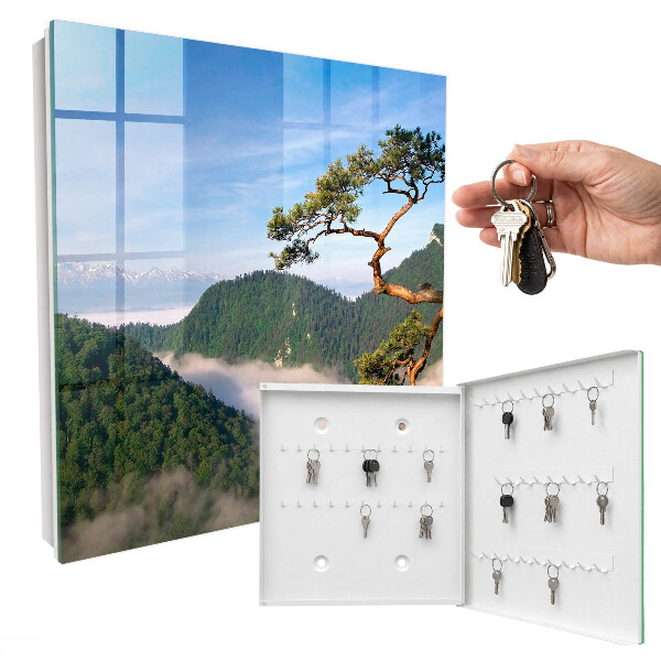 Key cabinet for wall Mountain landscape