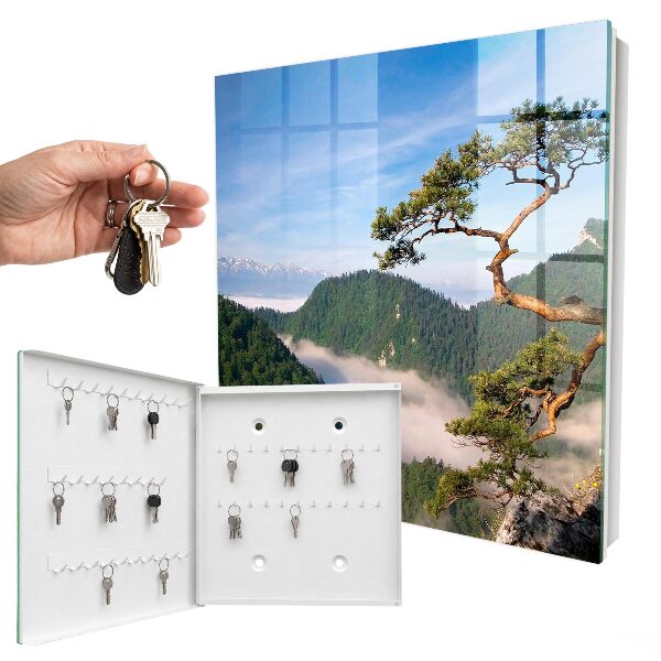 Key cabinet for wall Mountain landscape