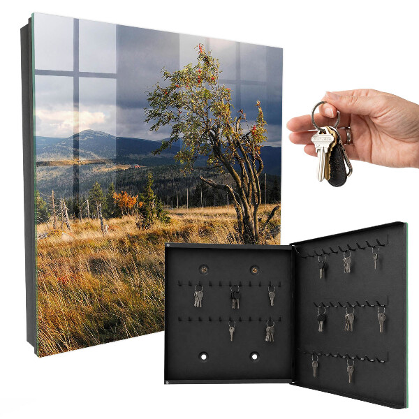 Key storage box Autumn landscape
