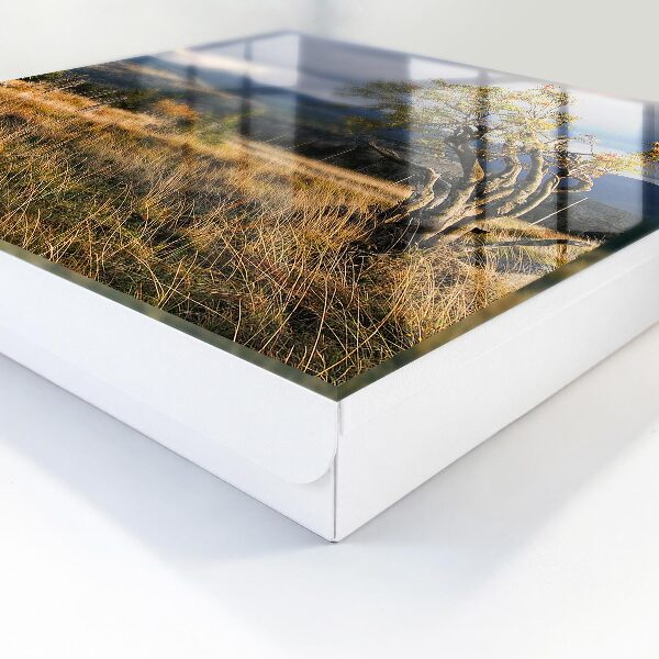 Key storage box Autumn landscape
