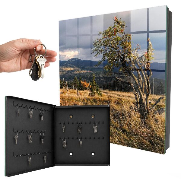 Key storage box Autumn landscape