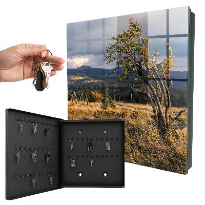 Key storage box Autumn landscape