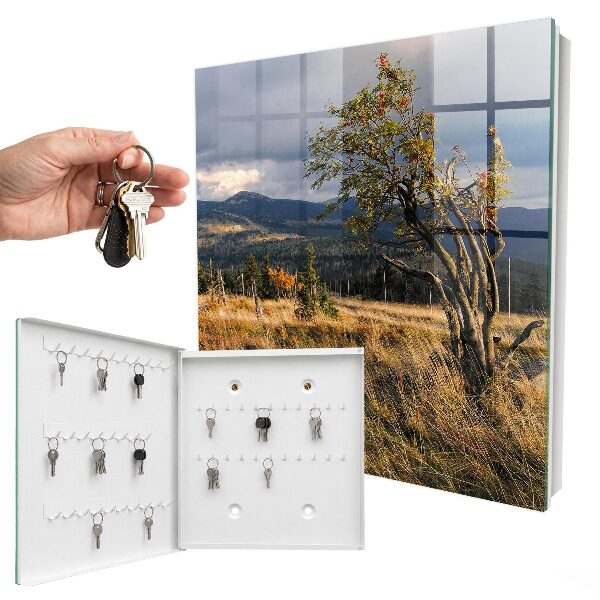 Key storage box Autumn landscape