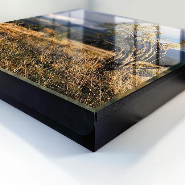Key storage box Autumn landscape
