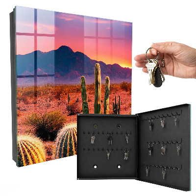 Key cabinet for wall Desert West
