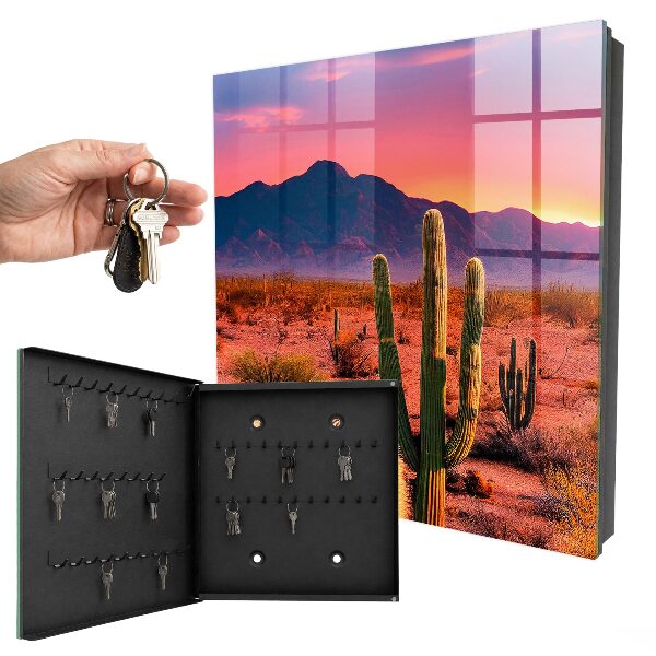 Key cabinet for wall Desert West
