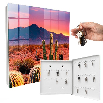 Key cabinet for wall Desert West