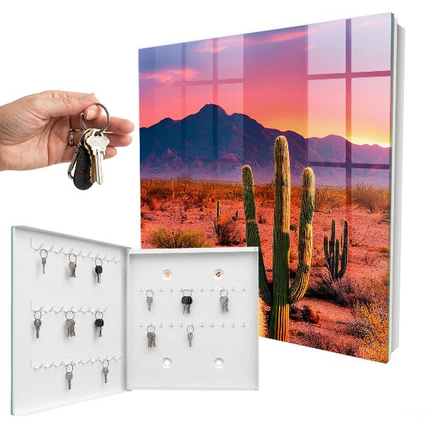 Key cabinet for wall Desert West