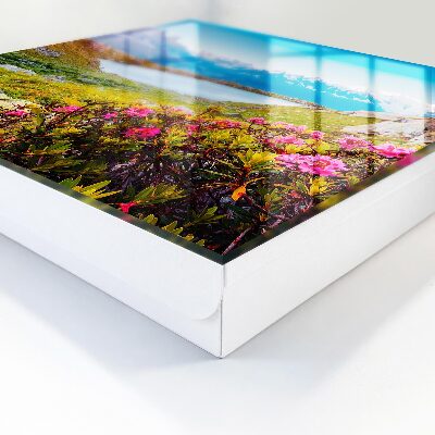 Key cabinet for wall Mountain landscape