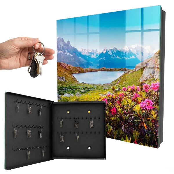 Key cabinet for wall Mountain landscape