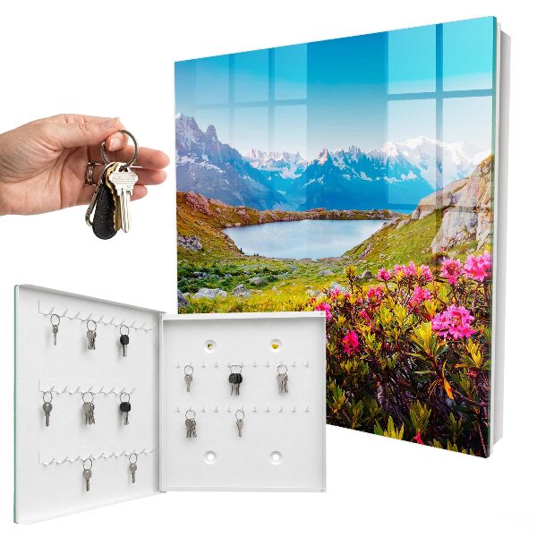 Key cabinet for wall Mountain landscape