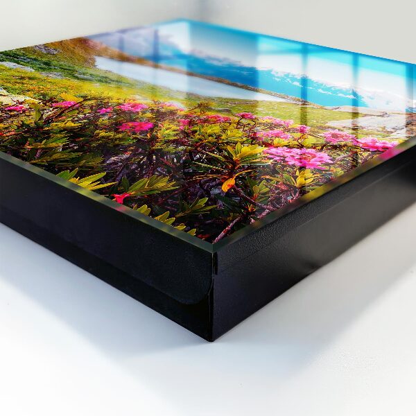 Key cabinet for wall Mountain landscape