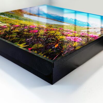 Key cabinet for wall Mountain landscape